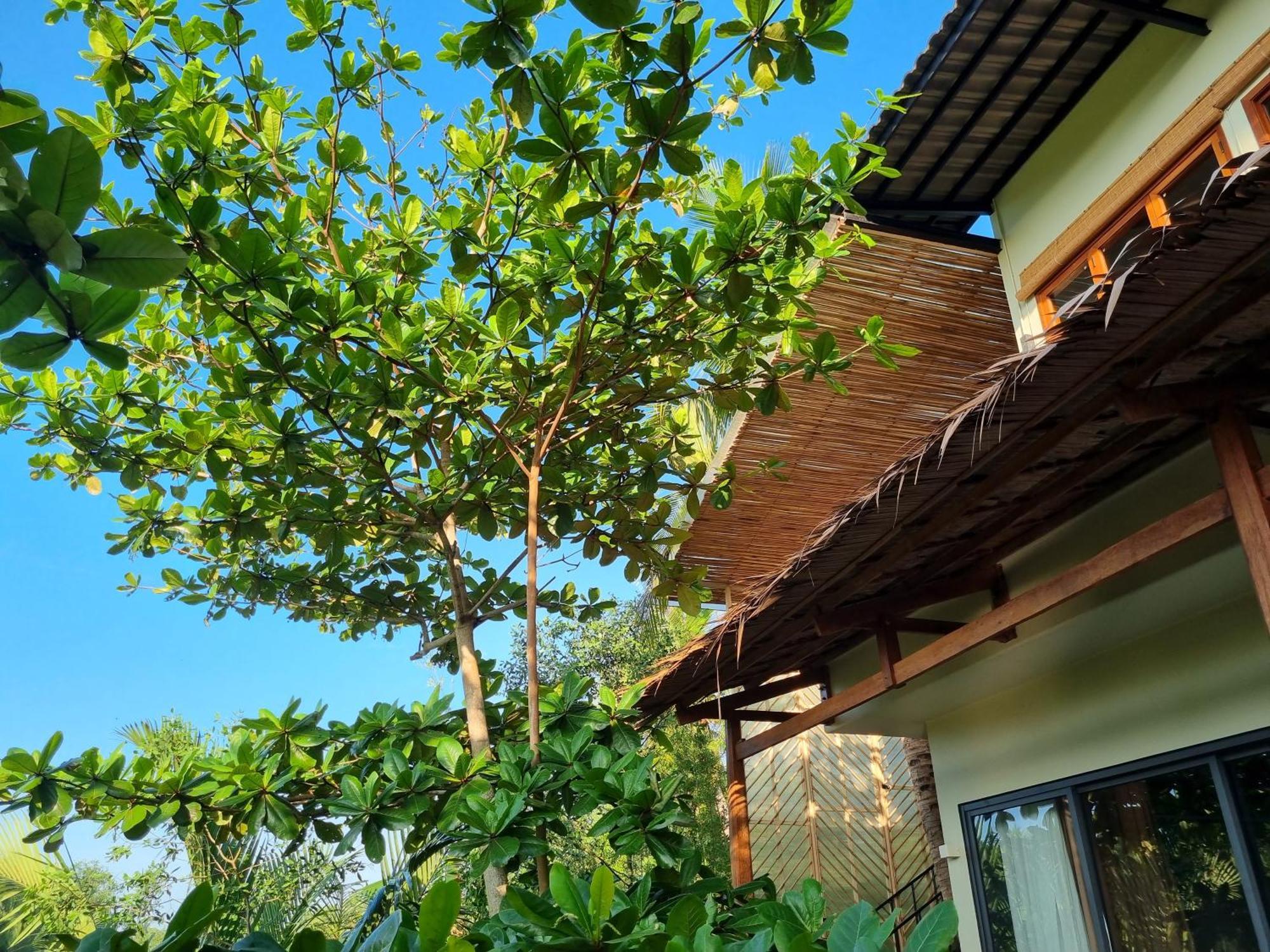 Innerzen Riverside Homestay Ben Tre - Japanese Style Exteriér fotografie